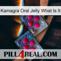 Kamagra Oral Jelly What Is It 14